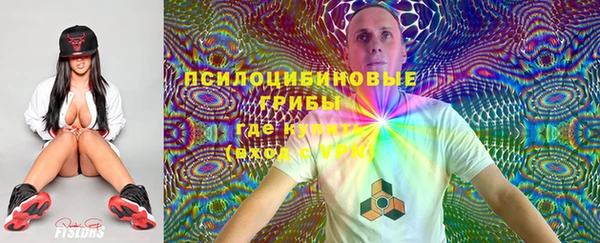 стаф Наволоки