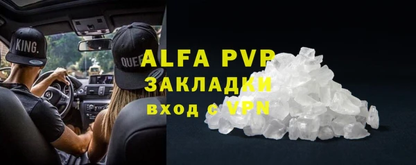 a pvp Бородино