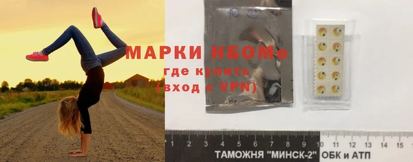 шишки Алагир