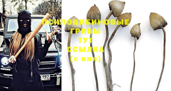 герыч Михайловск