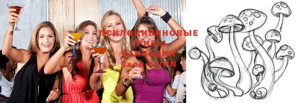 стаф Наволоки