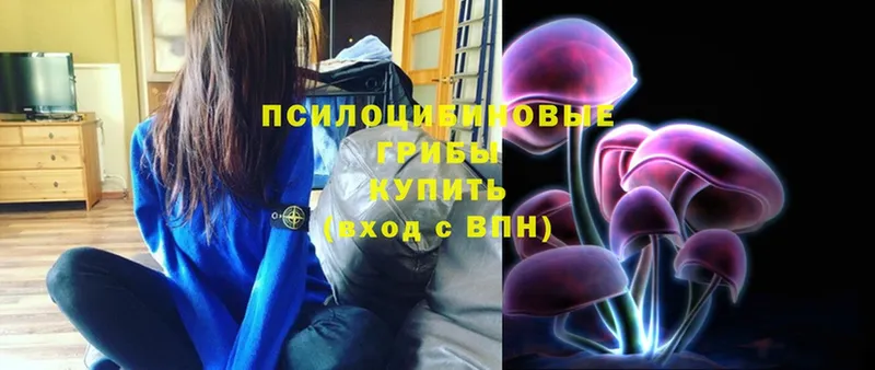 Галлюциногенные грибы GOLDEN TEACHER  Новая Ляля 